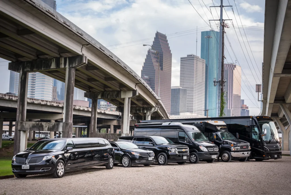 a group of black limos parked side by side under the bridge who offers burlington limo service