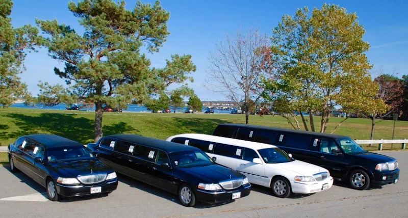 kitchener airport limo services-A lineup of luxury limousines parked on a sunny day by a scenic park with trees and a distant lake. The vehicles are black and white, conveying elegance.