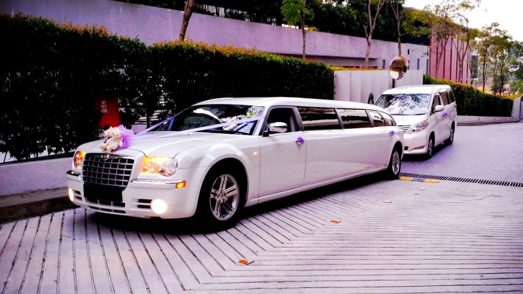 london ontario limo service-A white limousine with teddy bear and purple decorations on the hood is parked on a paved driveway, creating a festive and elegant atmosphere.