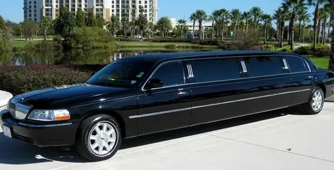 A sleek black limousine is parked on a sunlit driveway, surrounded by tall palm trees and a serene pond, exuding luxury and elegance.