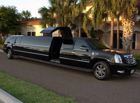kingston limo service-Black stretch limousine parked on a suburban street, palm trees and a house in the background. The gullwing door is open, adding a luxurious feel.