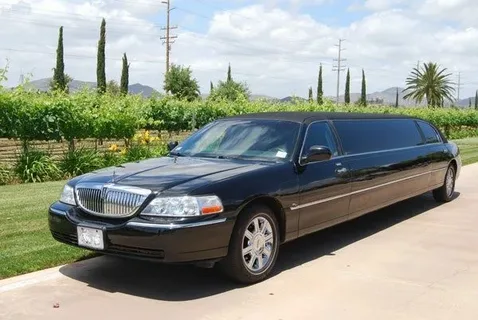 A sleek black limousine is parked on a sunny day beside a lush vineyard. The scene conveys luxury and tranquility, with elegant palm trees in the background.