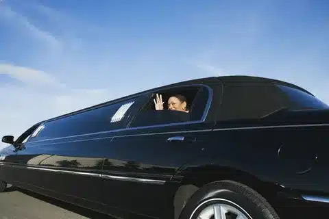 A sleek black limousine is parked on a sunny day beside a lush vineyard. The scene conveys luxury and tranquility, with elegant palm trees in the background.